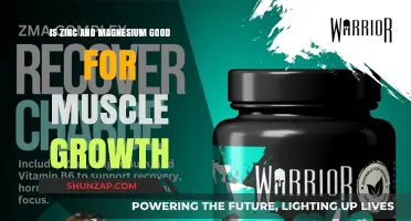 Unlocking Muscle Growth: The Essential Role of Zinc and Magnesium