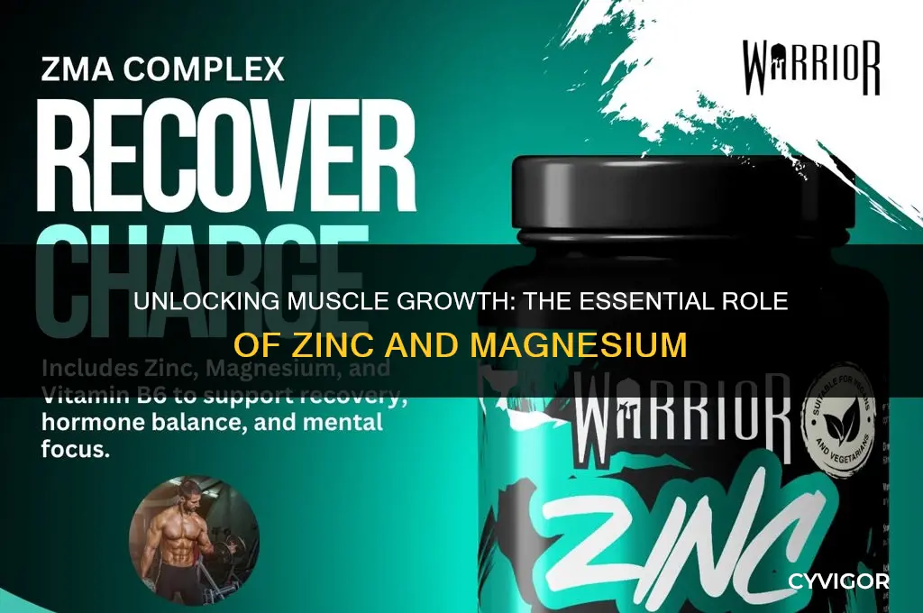 is zinc and magnesium good for muscle growth
