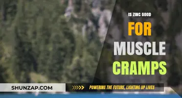 Zinc's Role in Relieving Muscle Cramps: A Comprehensive Guide