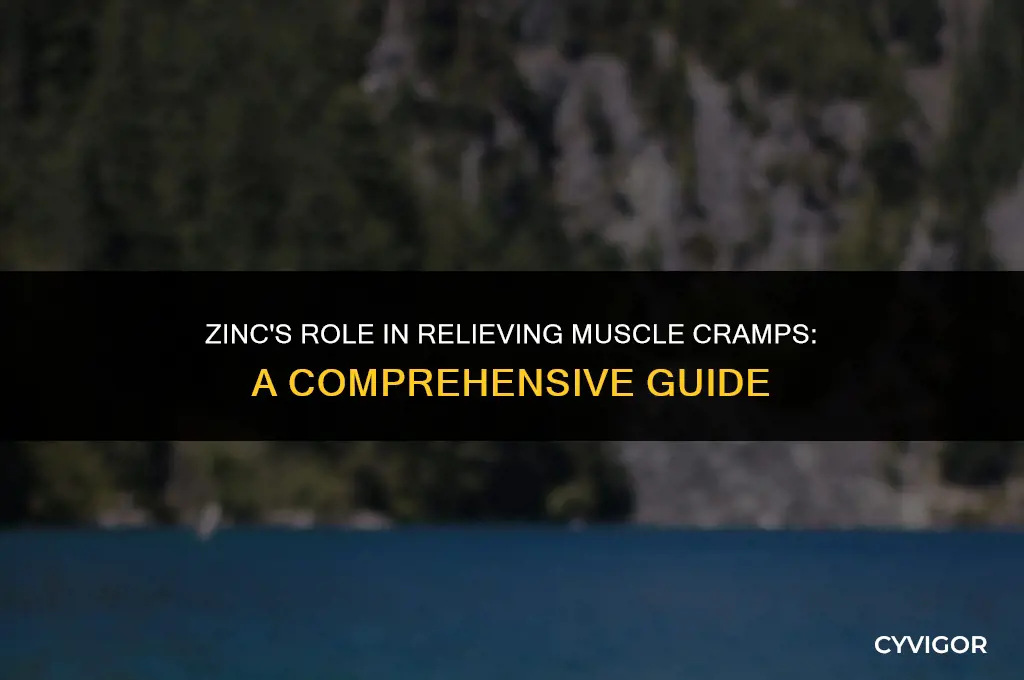is zinc good for muscle cramps