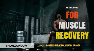Unlocking Muscle Recovery: The Surprising Benefits of Zinc
