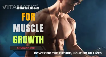 Unlocking Muscle Growth: The Surprising Benefits of Zinc Tablets