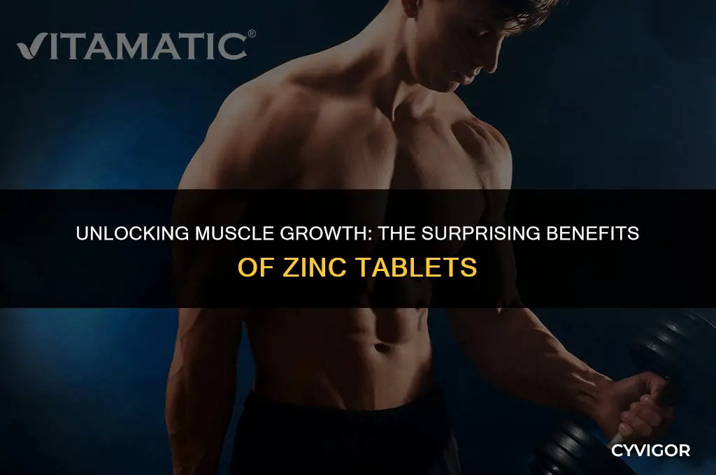 is zinc tablets good for muscle growth