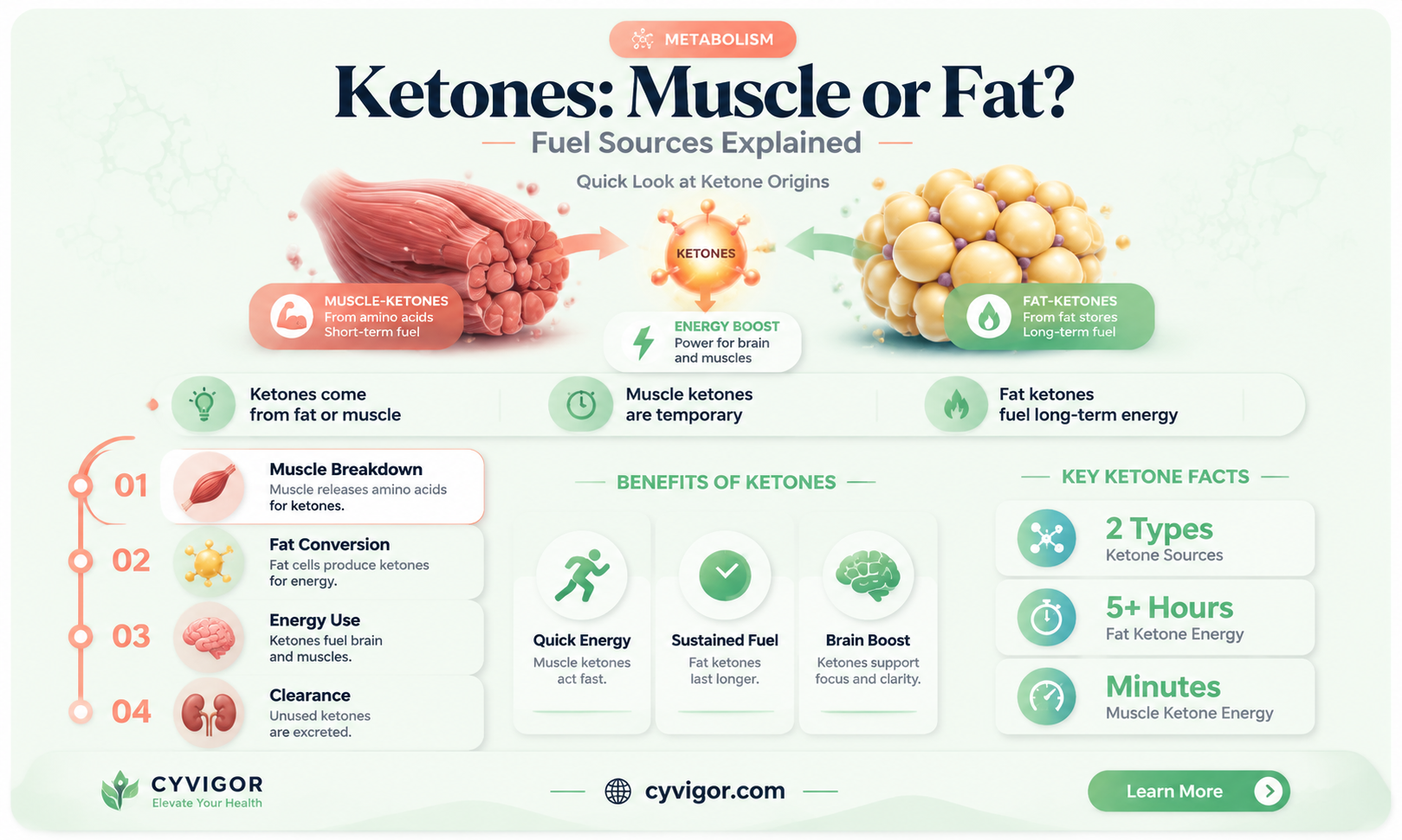 are ketones made from muscle