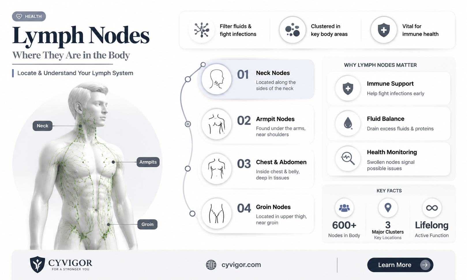are lymph nodes above muscle
