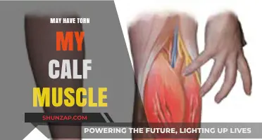 Ouch! Did I Just Tear My Calf Muscle? Here's What to Do Next