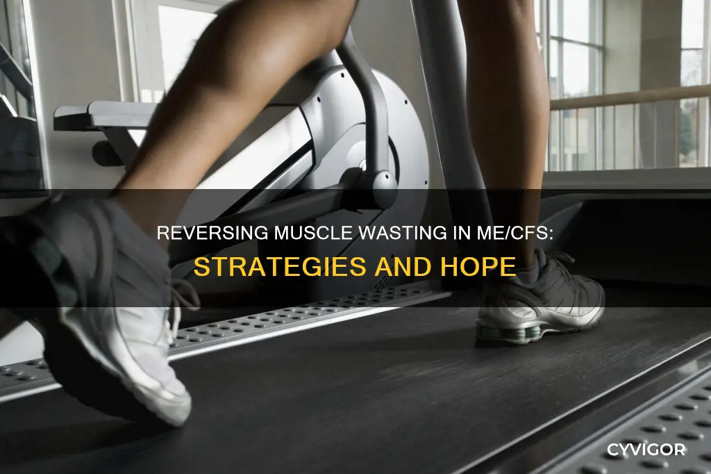 me cfs muscle wasting