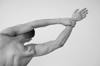 muscle groups