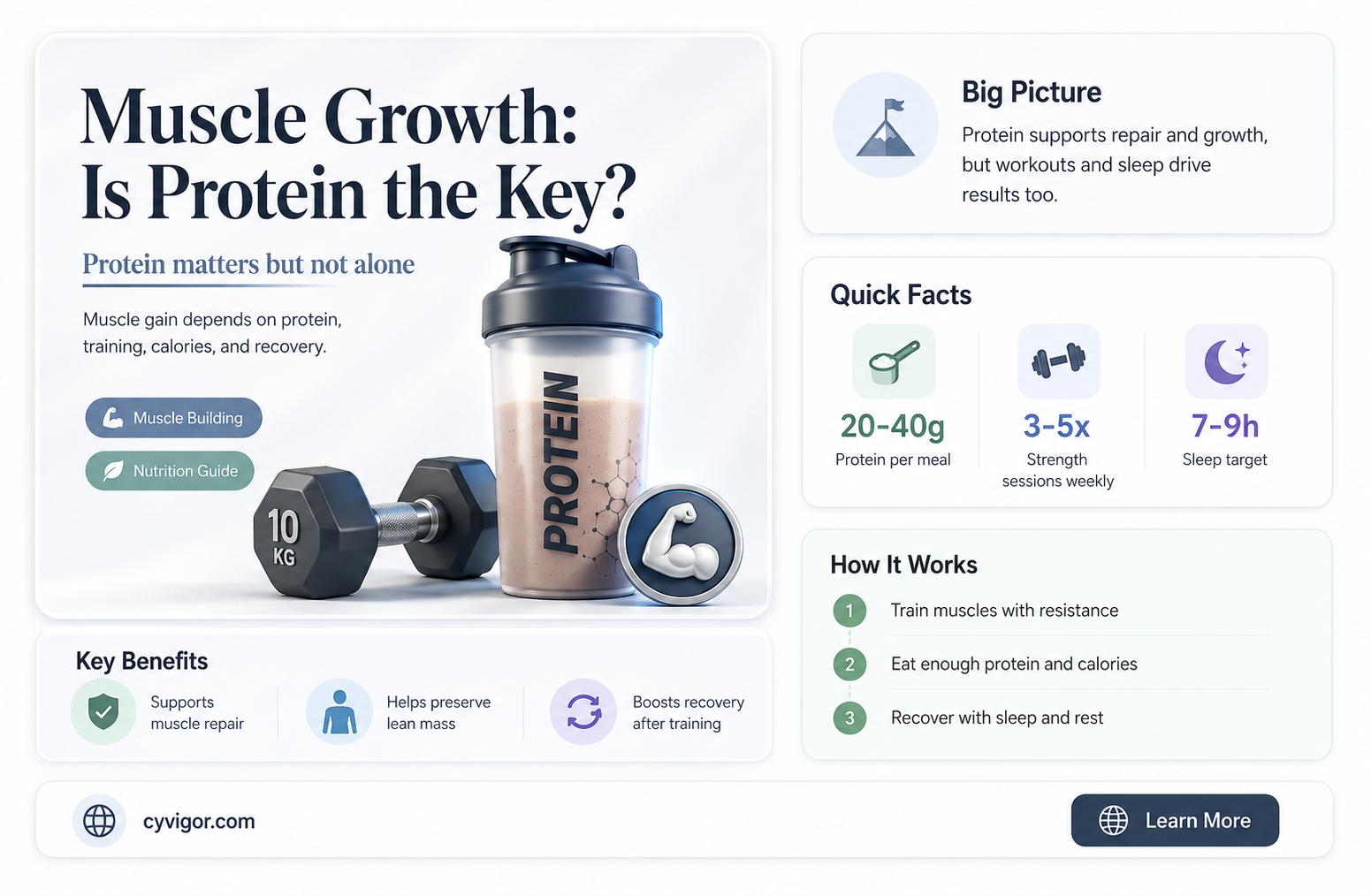 are muscles made of protein