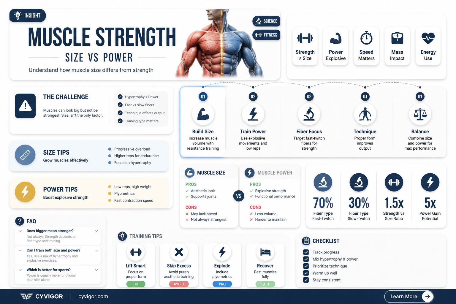 are bigger muscles always stronger