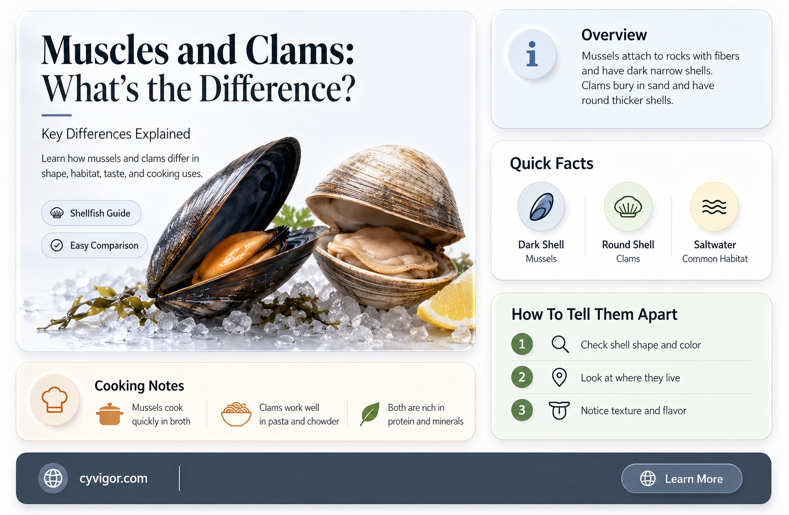 are muscles different from clams
