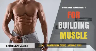 Essential Supplements to Fuel Your Muscle-Building Journey