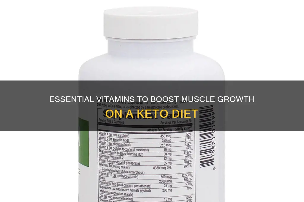 must have vitamins for muscle gain and keto