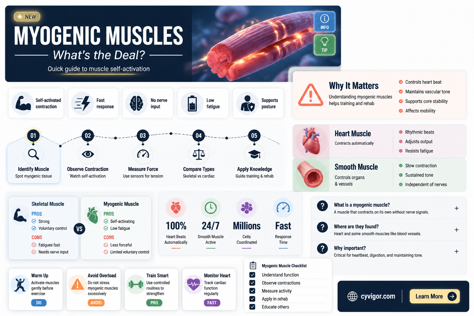 are all muscles myogenic