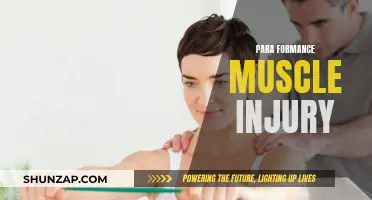 Muscle Injuries: Para-Performance and Recovery Strategies