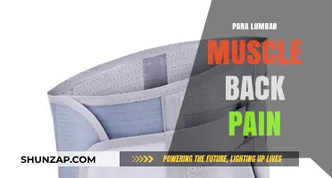 Understanding and Relieving Para-Lumbar Muscle Back Pain: Causes and Solutions