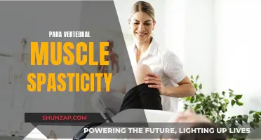Understanding Para Vertebral Muscle Spasticity: Causes and Treatment Options