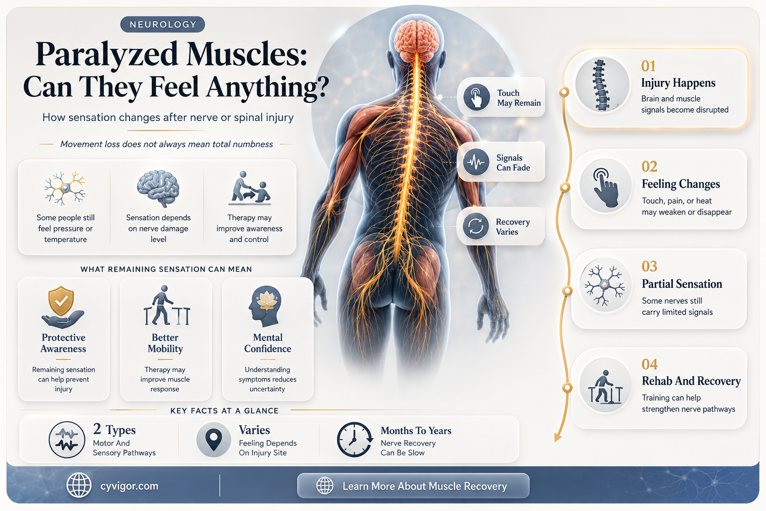 are paralyzed muscles numb