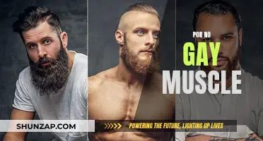 Exploring Gay Muscle Porn: Unveiling the Ultimate Fantasy