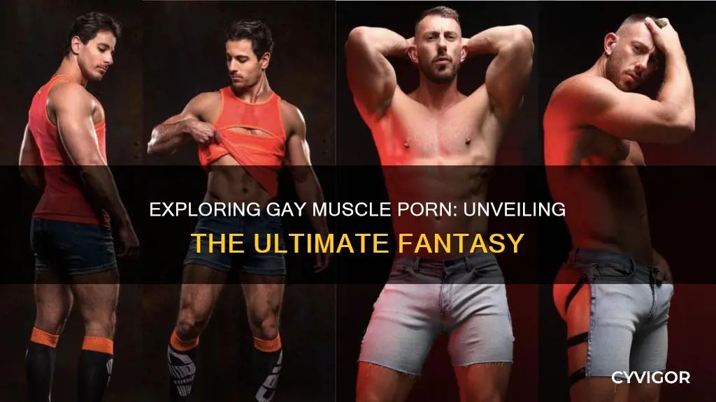 por no gay muscle