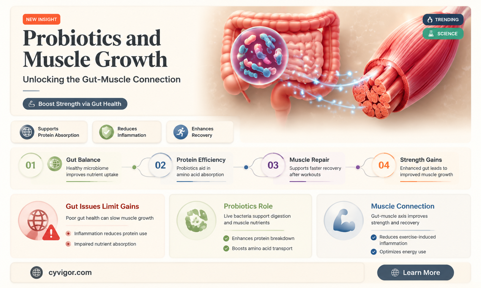 are probiotics good for muscle growth
