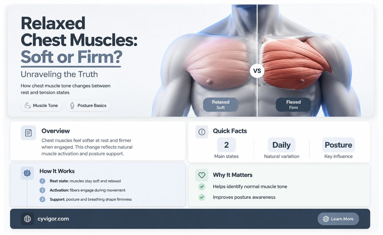 are the chest muscles soft when relaxed