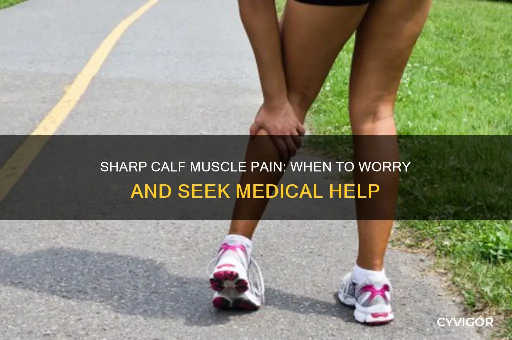 should a sharp pain in calf muscle worry me