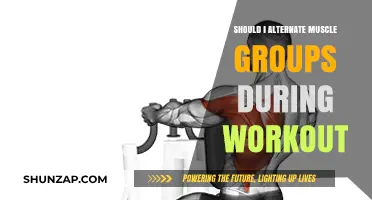 Alternating Muscle Groups: Maximizing Gains or Wasting Time?