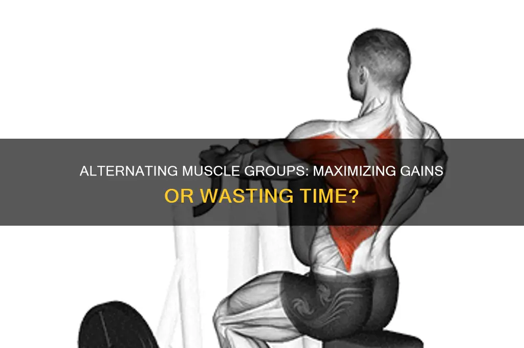 should i alternate muscle groups during workout