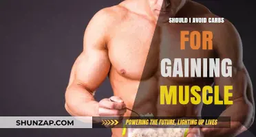 Carbs and Muscle Gain: Should You Avoid Them or Embrace Them?