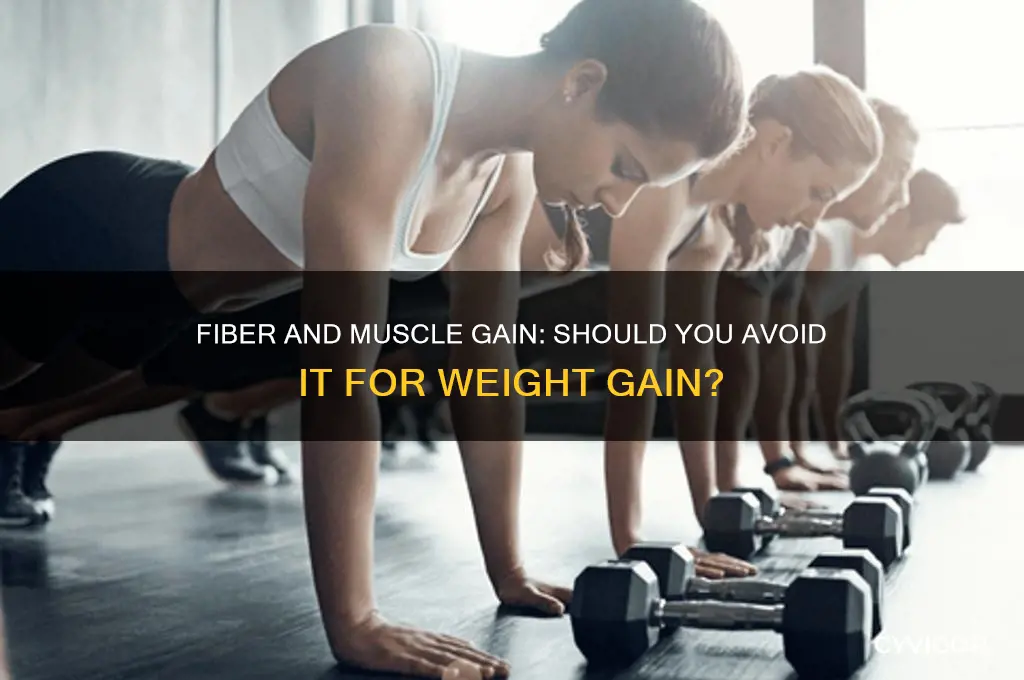 should i avoid fiber when trying to gain muscle weight