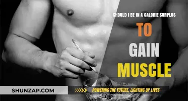 Calorie Surplus for Muscle Gain: Essential or Overrated?