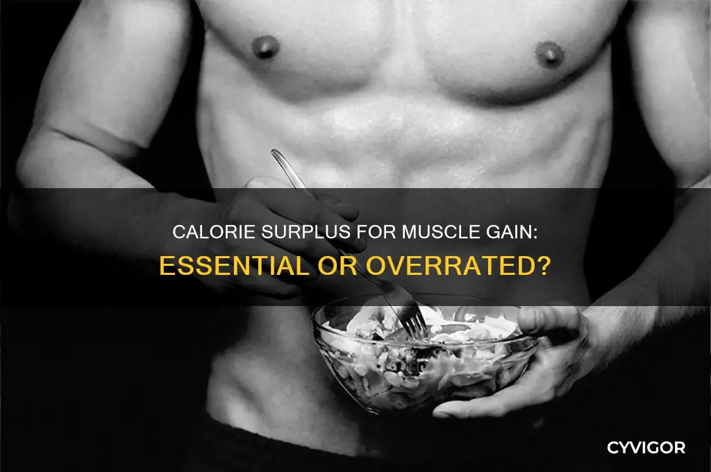 should i be in a calorie surplus to gain muscle