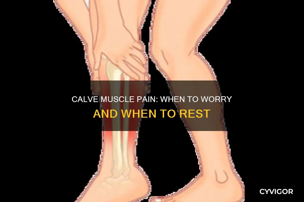 should i be worried about calve muscle pain