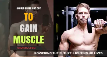 Bulk and Cut: Effective Strategy for Muscle Gain or Myth?