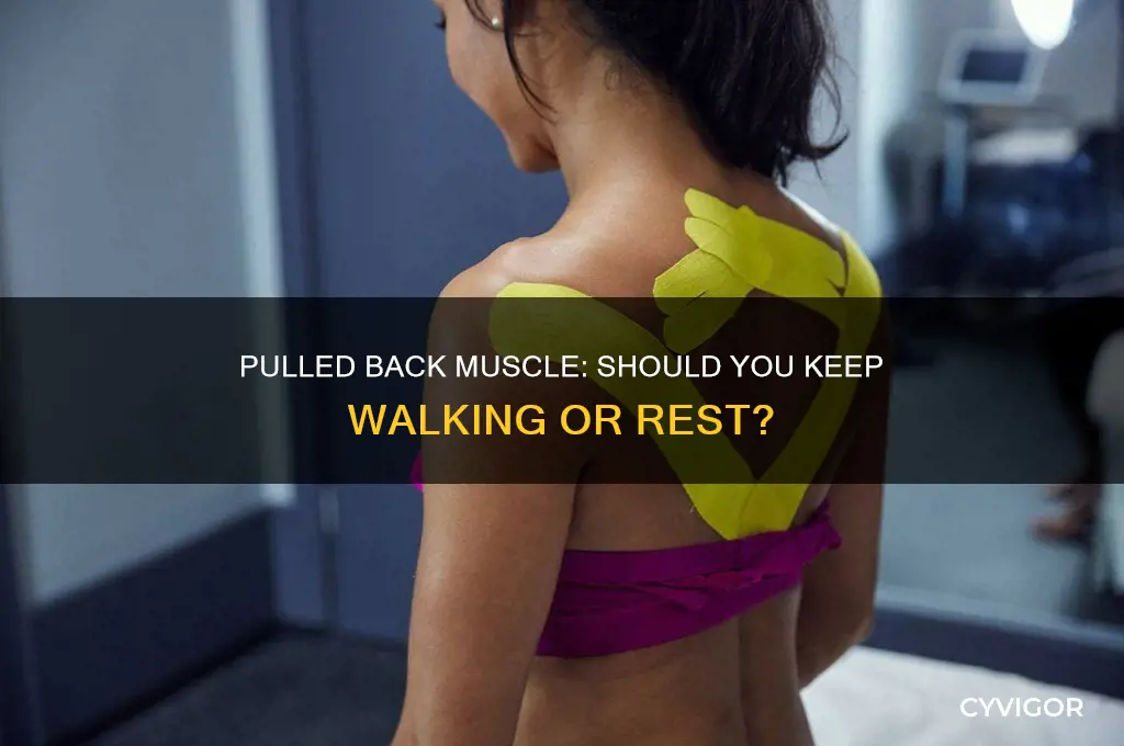 should i continue walking with a pulled back muscle
