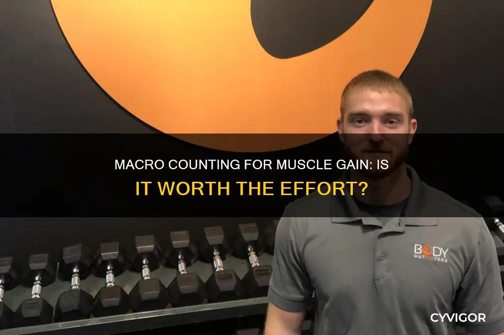 should i count macros to gain muscle