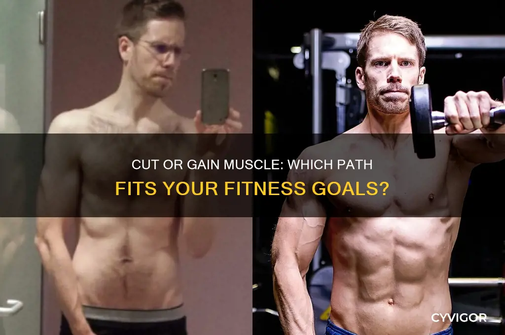 should i cut or gain muscle