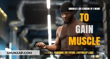 Cardio and Muscle Gain: Friends or Foes for Your Fitness Goals?