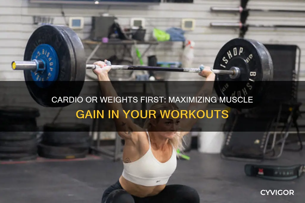 should i do cardio or weights first to gain muscle