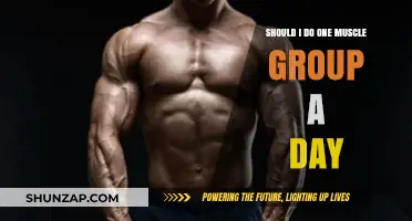 One Muscle Group a Day: Effective Workout Strategy or Overkill?