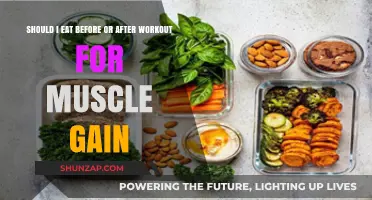 Pre or Post-Workout Meals: Timing for Optimal Muscle Gain