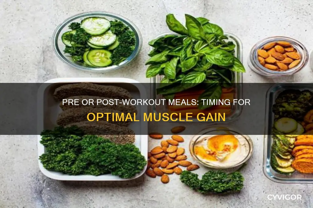 should i eat before or after workout for muscle gain