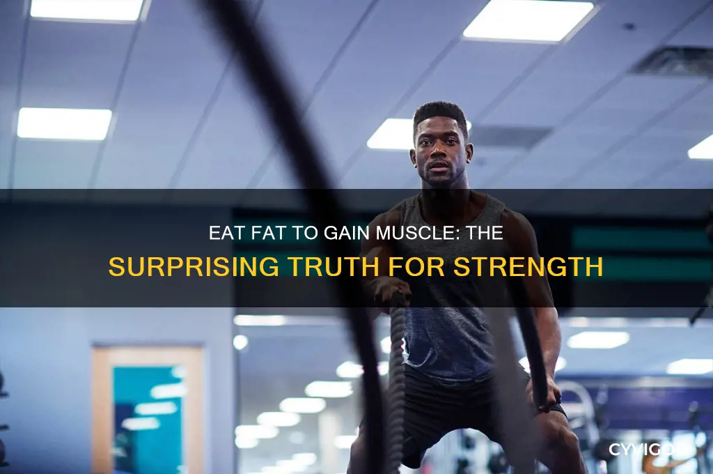 should i eat fat to gain muscle