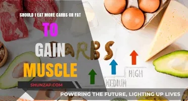 Carbs vs. Fat: Which Fuels Muscle Growth Better?