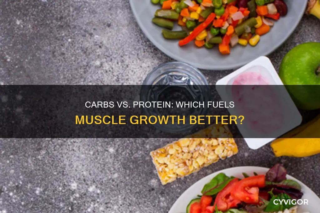 should i eat more carbs than protein to gain muscle