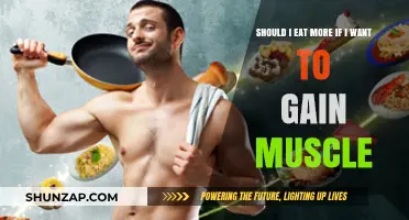 Fuel Your Muscle Growth: Should You Eat More to Bulk Up?