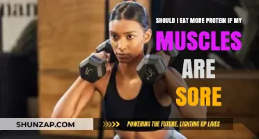 Sore Muscles? Discover If More Protein Speeds Up Recovery