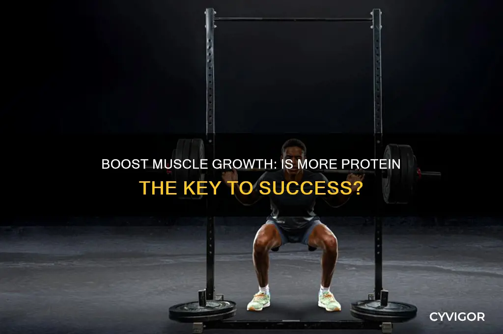 should i eat more protein to gain muscle