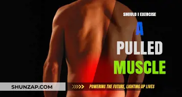 Pulled Muscle Recovery: Should You Exercise or Rest for Healing?